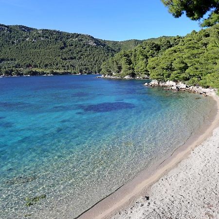 Apartments By The Sea Zuljana, Peljesac - 19080 エクステリア 写真